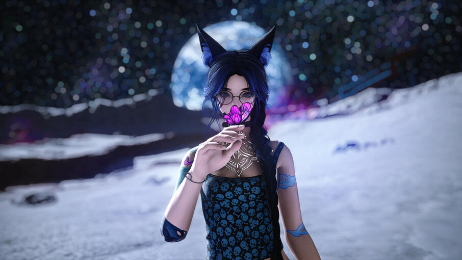 Butterfly on the moon